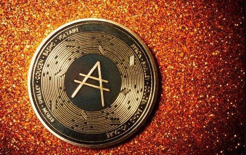 金年会招牌比特币空投即将开始，参与用户将获ADA枚代币