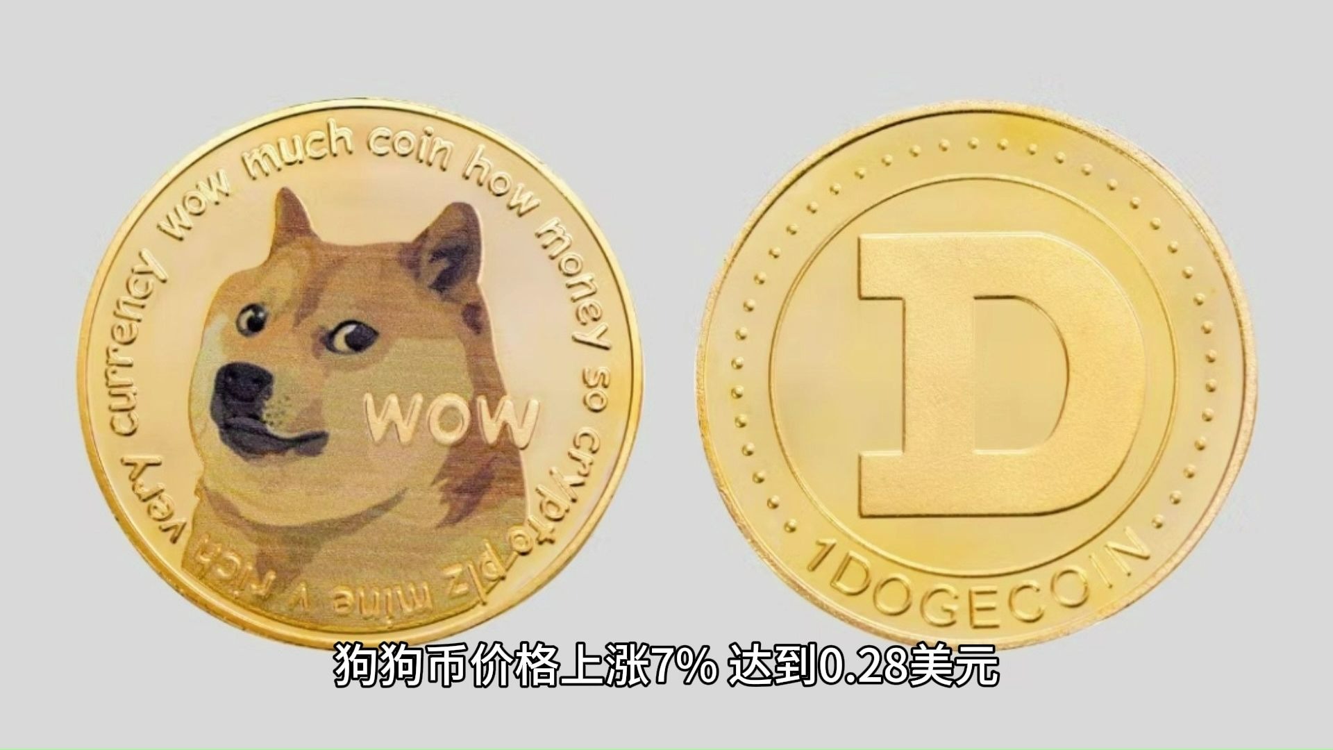 关于专家称狗狗币将在年底冲破17.24美元，引发引发关注的信息