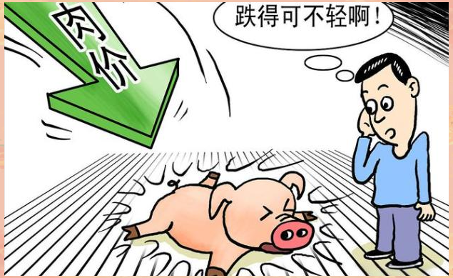 包含币安遭遇大幅下滑超57%，投资者恐慌性抛售！的词条